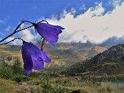 19 Cmapanule con vista verso i Diavoli coperti dalle nuvole mattutine